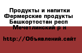 Продукты и напитки Фермерские продукты. Башкортостан респ.,Мечетлинский р-н